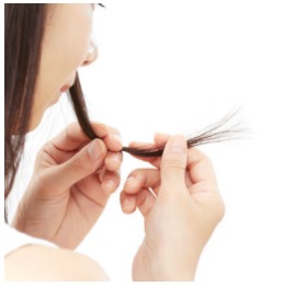 「■髪のお悩み…「パサつき」原因と対策■」のアイキャッチ画像